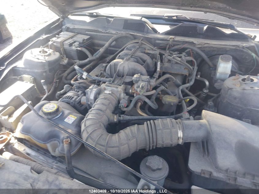 2010 Ford Mustang VIN: 1ZVBP8AN6A5121565 Lot: 12403409