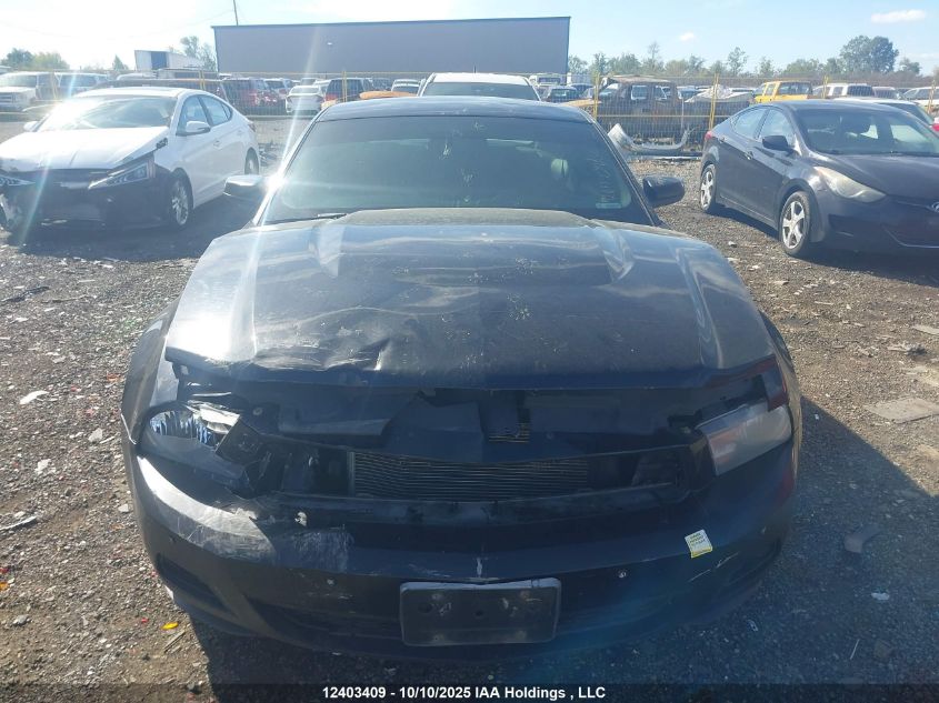 2010 Ford Mustang VIN: 1ZVBP8AN6A5121565 Lot: 12403409
