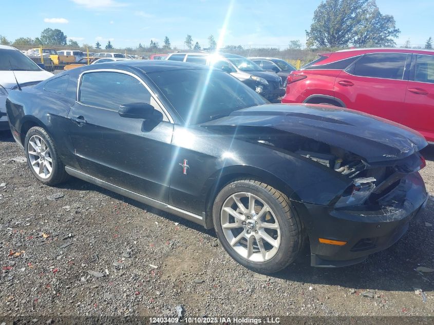 2010 Ford Mustang VIN: 1ZVBP8AN6A5121565 Lot: 12403409