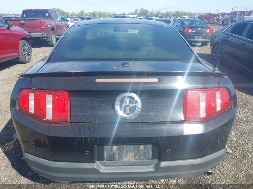 2010 Ford Mustang VIN: 1ZVBP8AN6A5121565 Lot: 12403409