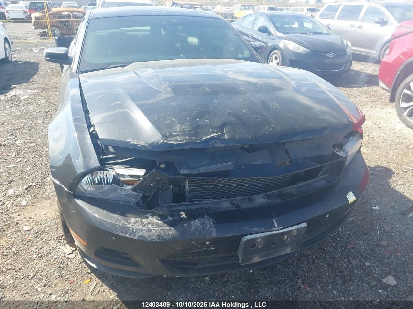 2010 Ford Mustang VIN: 1ZVBP8AN6A5121565 Lot: 12403409