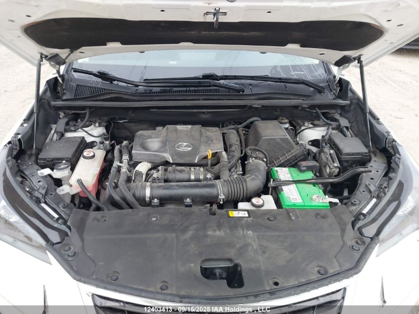 2021 Lexus Nx 300 VIN: JTJAARDZ6M5025053 Lot: 12403413