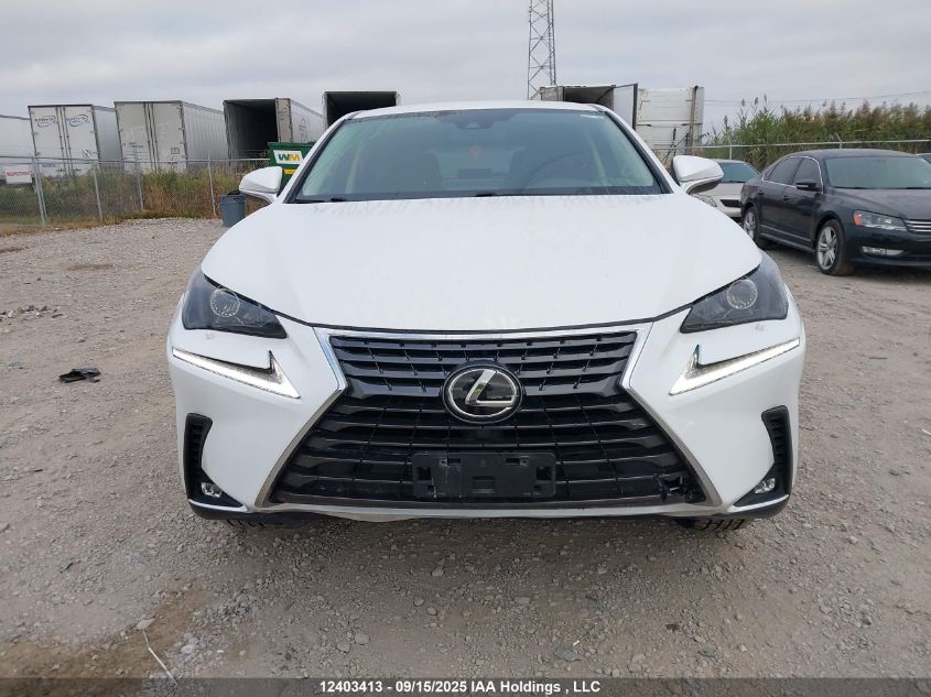 2021 Lexus Nx 300 VIN: JTJAARDZ6M5025053 Lot: 12403413