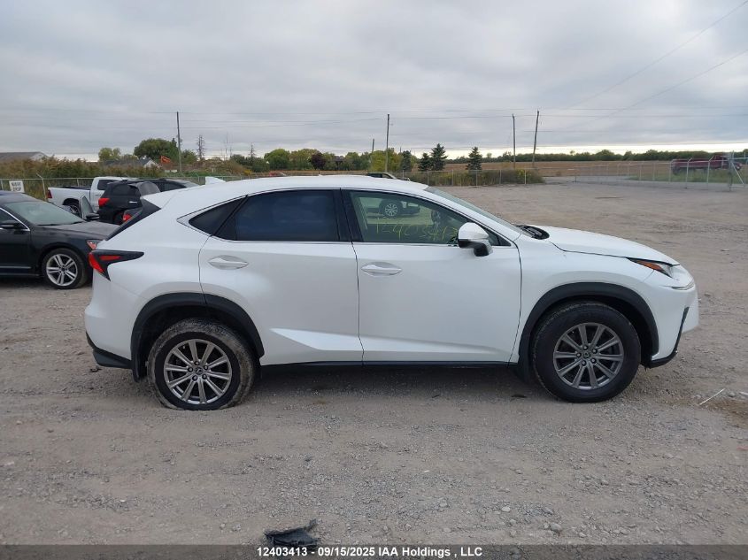 2021 Lexus Nx 300 VIN: JTJAARDZ6M5025053 Lot: 12403413