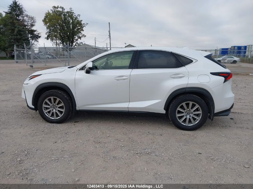 2021 Lexus Nx 300 VIN: JTJAARDZ6M5025053 Lot: 12403413