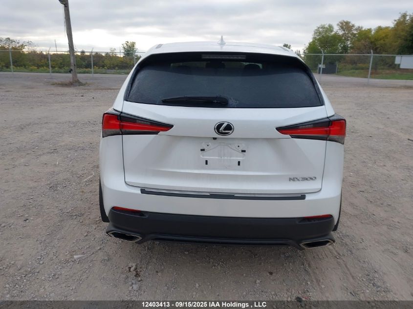 2021 Lexus Nx 300 VIN: JTJAARDZ6M5025053 Lot: 12403413