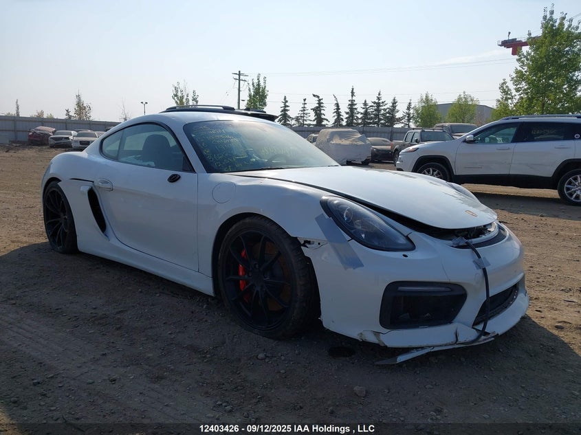 WP0AC2A82GK191091 2016 Porsche Cayman Gt4 auction photo 1