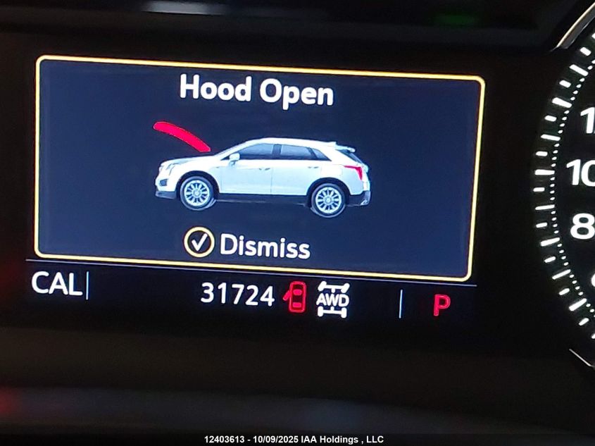 2023 Cadillac Xt5 VIN: 1GYKNDRS9PZ156740 Lot: 12403613