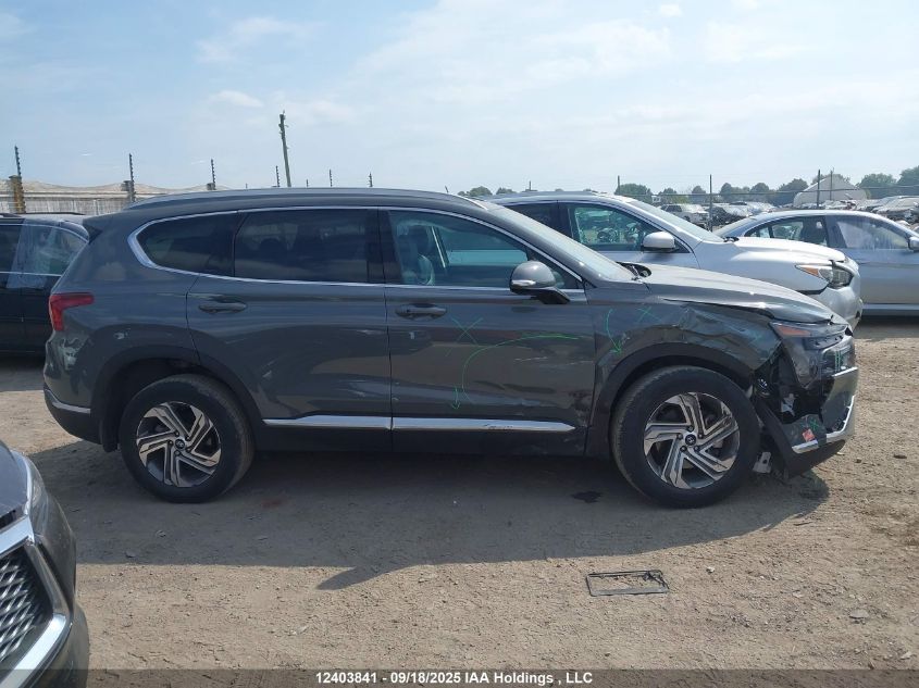 2023 Hyundai Santa Fe Preferred Awd With Trend Package VIN: 5NMS3DAJ3PH611584 Lot: 12403841