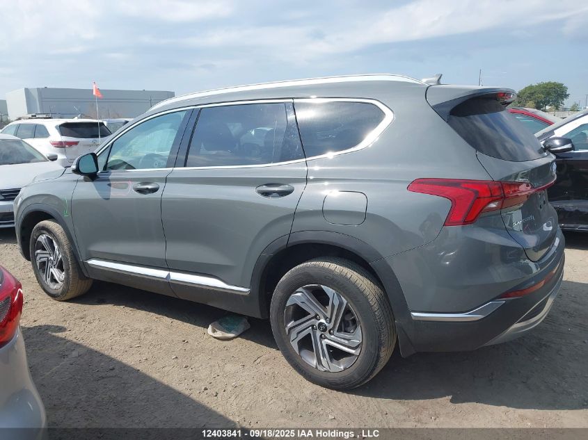 2023 Hyundai Santa Fe Preferred Awd With Trend Package VIN: 5NMS3DAJ3PH611584 Lot: 12403841