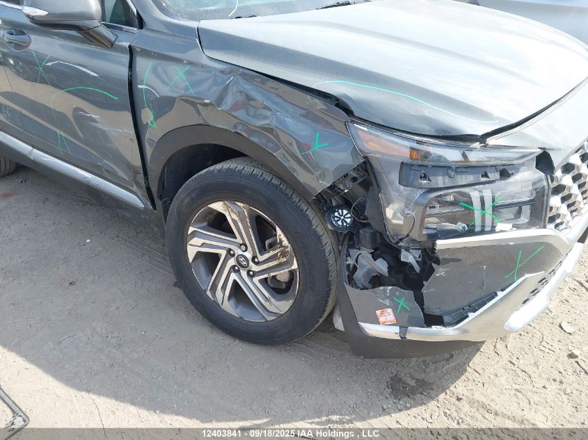 2023 Hyundai Santa Fe Preferred Awd With Trend Package VIN: 5NMS3DAJ3PH611584 Lot: 12403841