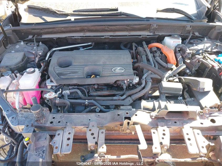 2T2GKCEZ4RC028741 2024 LEXUS NX photo no. 10