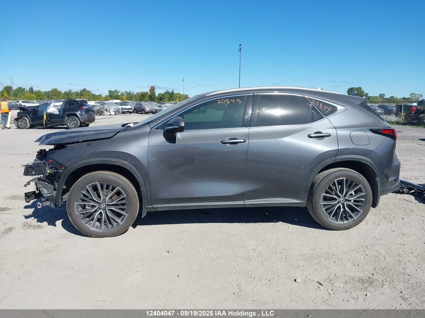 2T2GKCEZ4RC028741 2024 LEXUS NX photo no. 15