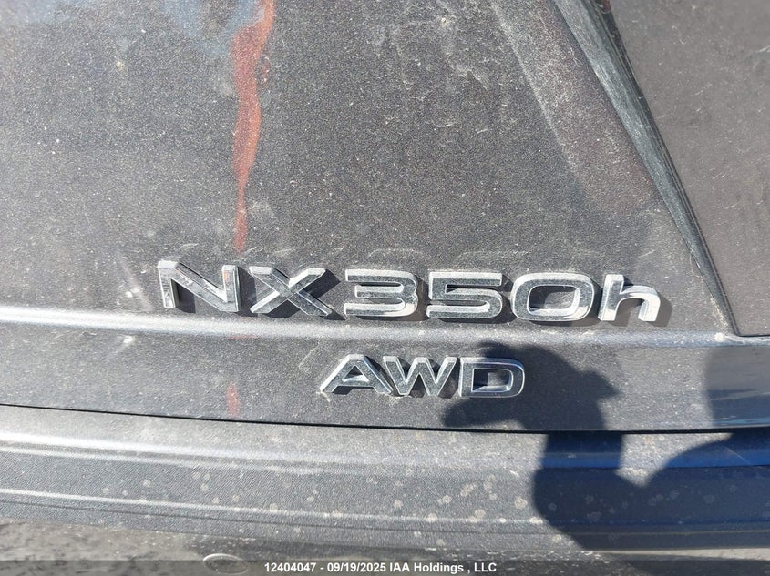2T2GKCEZ4RC028741 2024 LEXUS NX photo no. 22