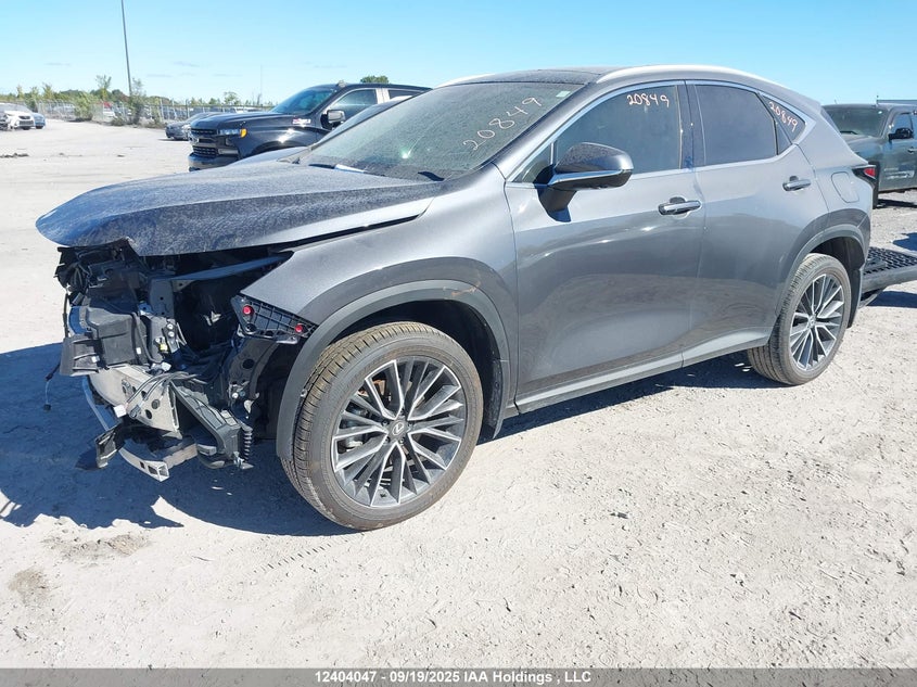 2T2GKCEZ4RC028741 2024 LEXUS NX photo no. 2