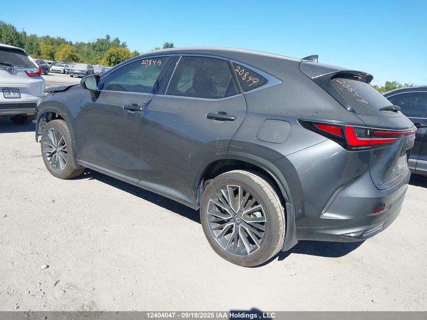 2T2GKCEZ4RC028741 2024 LEXUS NX photo no. 3