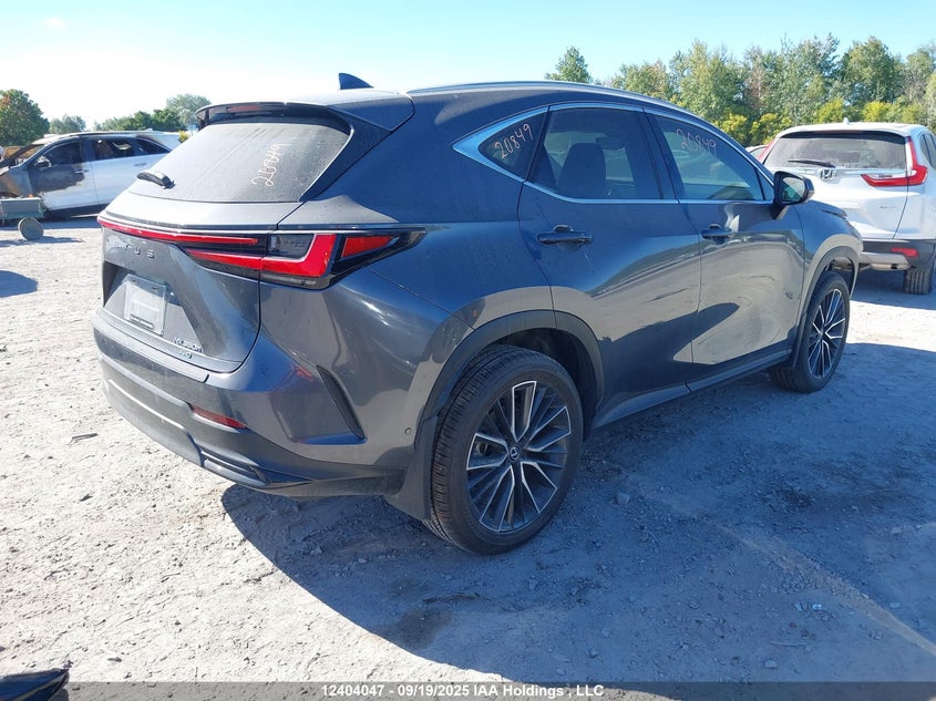 2T2GKCEZ4RC028741 2024 LEXUS NX photo no. 4
