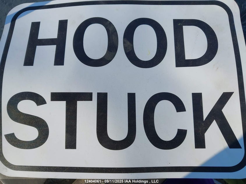 2009 Ford F250 Super Duty VIN: 1FTSW21599EA11043 Lot: 12404061