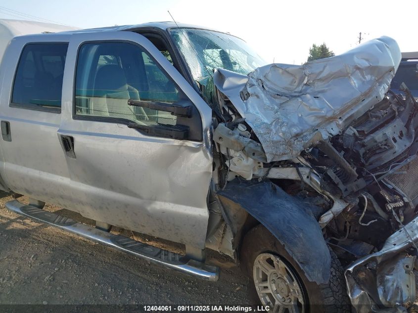 2009 Ford F250 Super Duty VIN: 1FTSW21599EA11043 Lot: 12404061