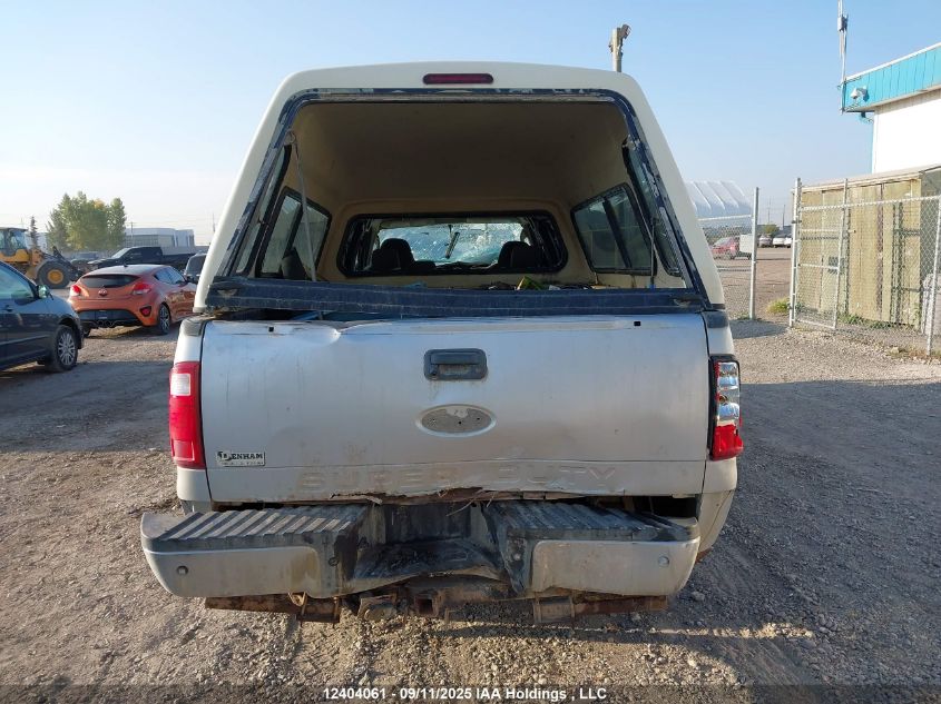 2009 Ford F250 Super Duty VIN: 1FTSW21599EA11043 Lot: 12404061