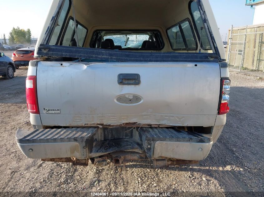 2009 Ford F250 Super Duty VIN: 1FTSW21599EA11043 Lot: 12404061