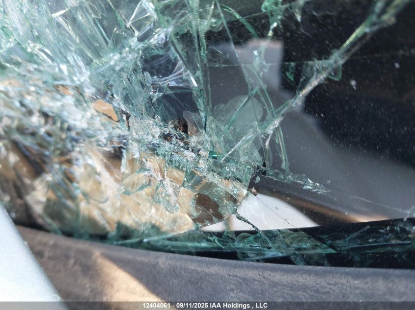 2009 Ford F250 Super Duty VIN: 1FTSW21599EA11043 Lot: 12404061