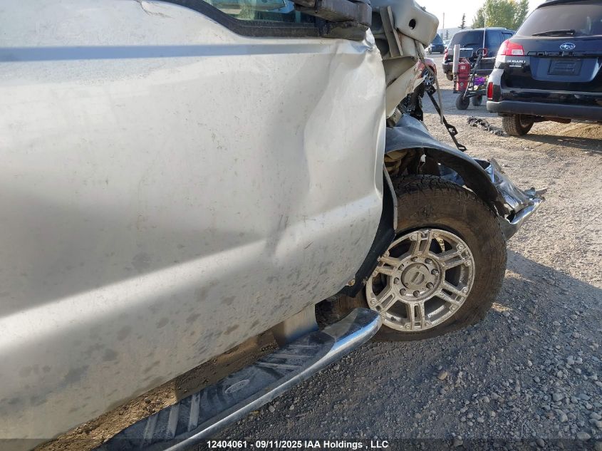 2009 Ford F250 Super Duty VIN: 1FTSW21599EA11043 Lot: 12404061