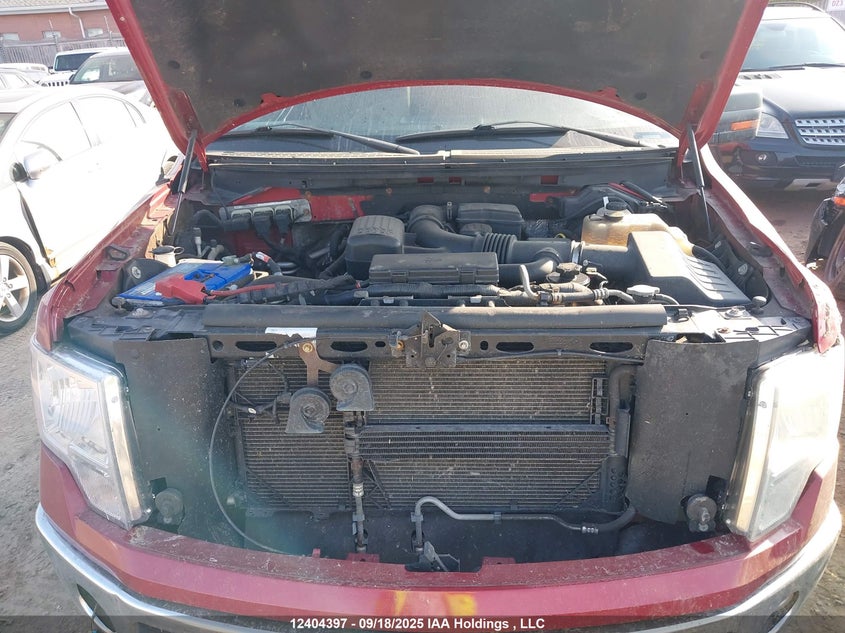 1FTFW1EV4AFA45640 2010 FORD F-150 photo no. 10