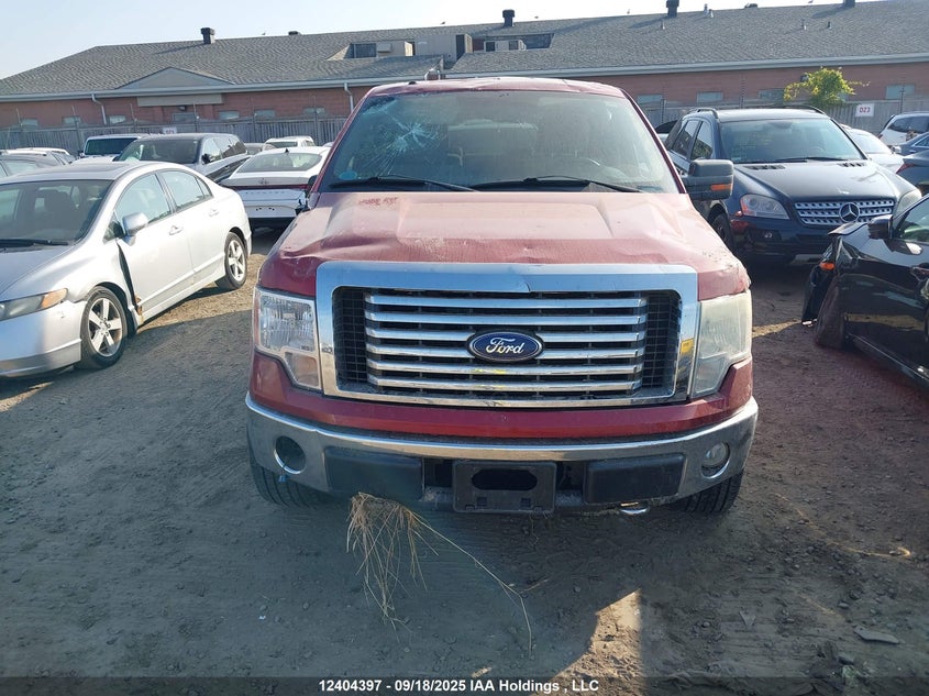 1FTFW1EV4AFA45640 2010 FORD F-150 photo no. 12