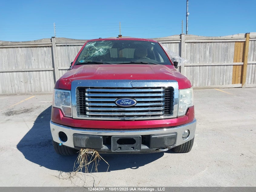 1FTFW1EV4AFA45640 2010 FORD F-150 photo no. 13