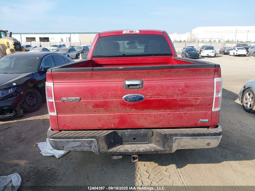 1FTFW1EV4AFA45640 2010 FORD F-150 photo no. 16