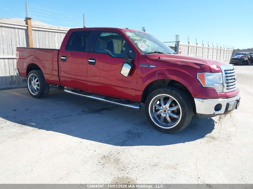 1FTFW1EV4AFA45640 2010 FORD F-150 photo no. 8