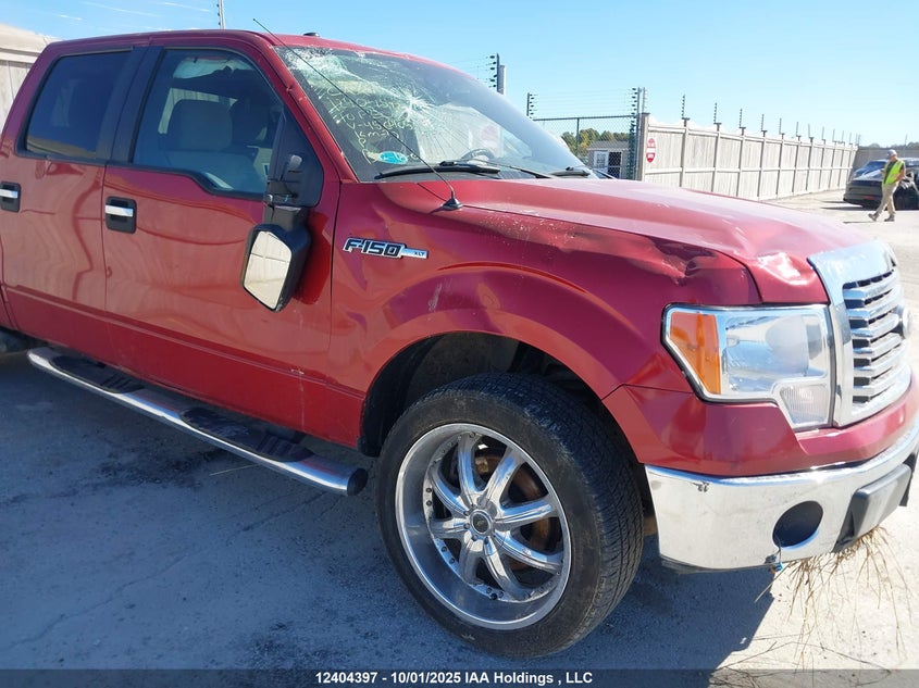 1FTFW1EV4AFA45640 2010 FORD F-150 photo no. 6