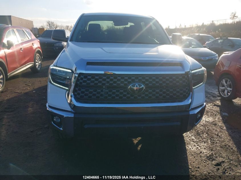 2020 Toyota Tundra VIN: 5TFDY5F1XLX892292 Lot: 12404665