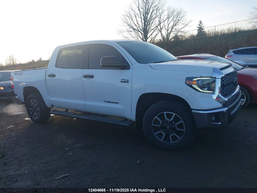 2020 Toyota Tundra VIN: 5TFDY5F1XLX892292 Lot: 12404665