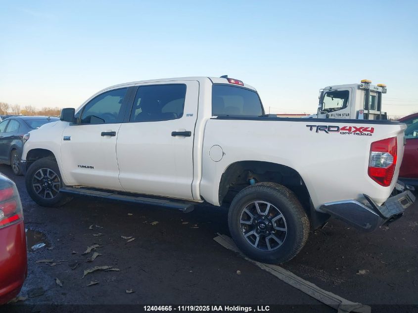 2020 Toyota Tundra VIN: 5TFDY5F1XLX892292 Lot: 12404665