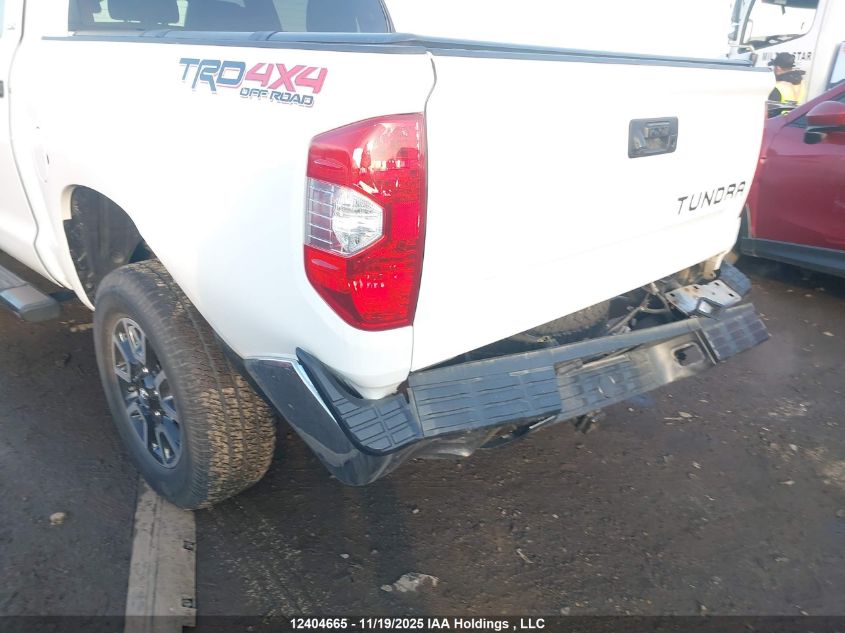 2020 Toyota Tundra VIN: 5TFDY5F1XLX892292 Lot: 12404665