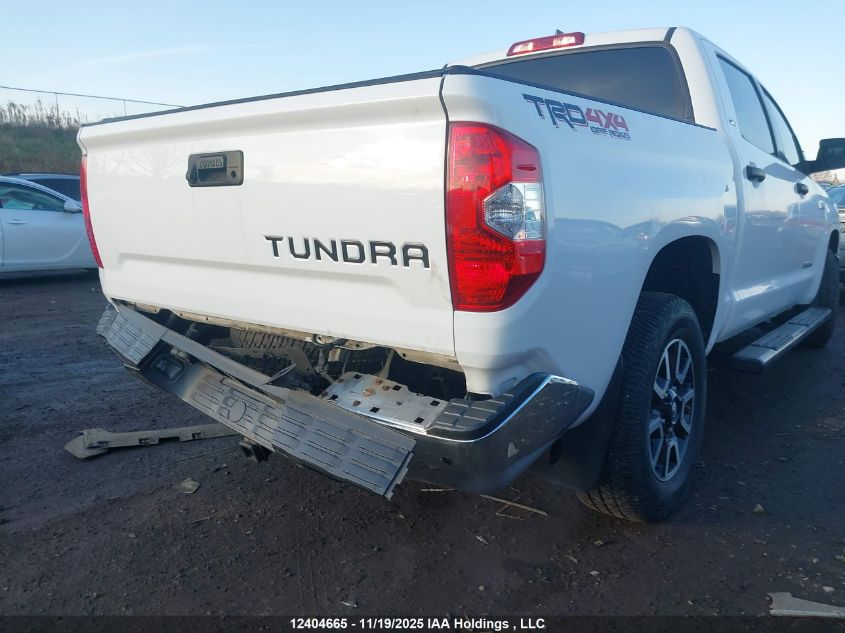 2020 Toyota Tundra VIN: 5TFDY5F1XLX892292 Lot: 12404665