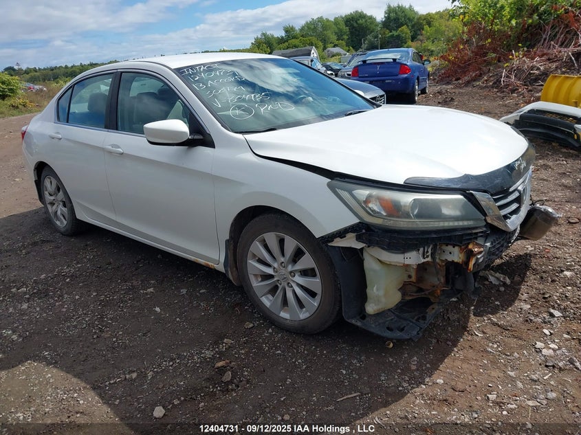 1HGCR2F36DA804935 2013 Honda Accord Lx auction photo 1