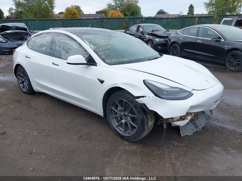 LRW3E1FA6PC875710 2023 TESLA MODEL 3 photo no. 14