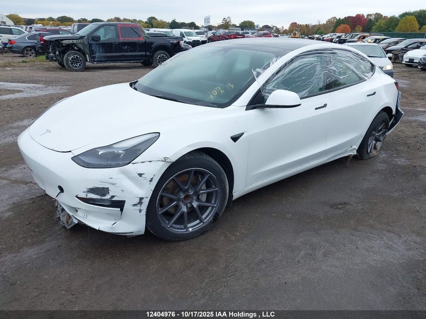 LRW3E1FA6PC875710 2023 TESLA MODEL 3 photo no. 2