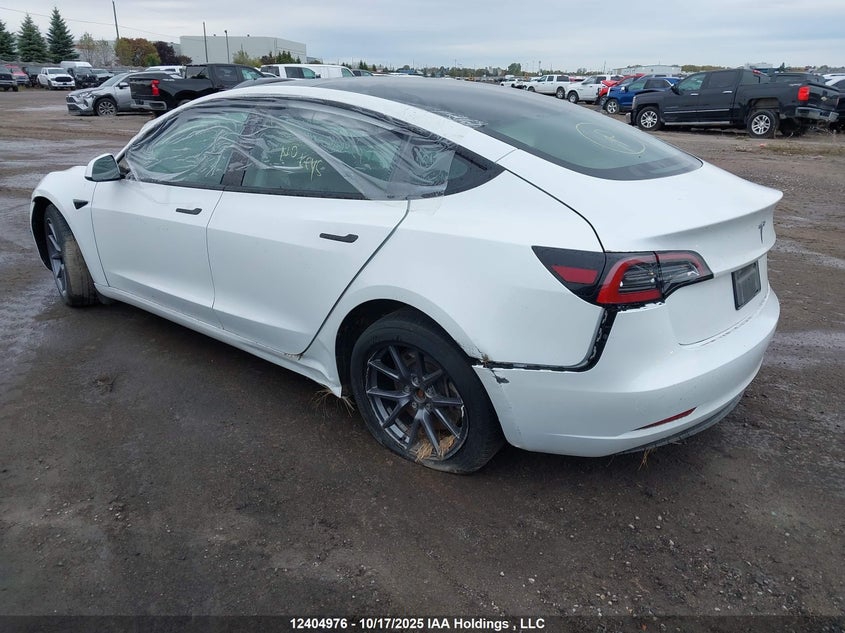 LRW3E1FA6PC875710 2023 TESLA MODEL 3 photo no. 3