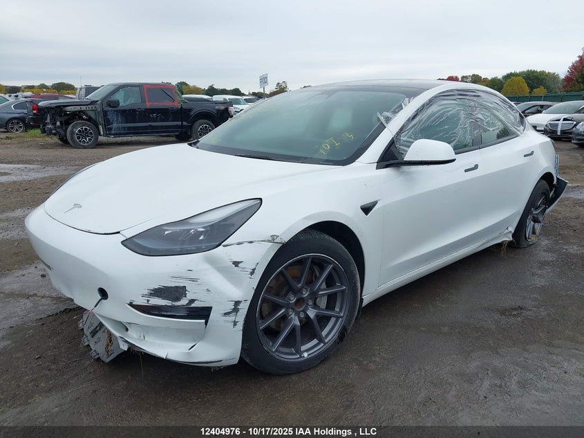 2023 Tesla Model 3 VIN: LRW3E1FA6PC875710 Lot: 12404976