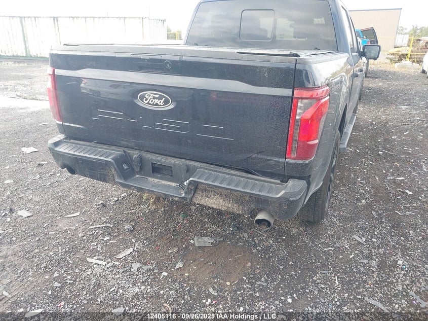 1FTEW3LP5SFA04480 2025 FORD F-150 photo no. 6