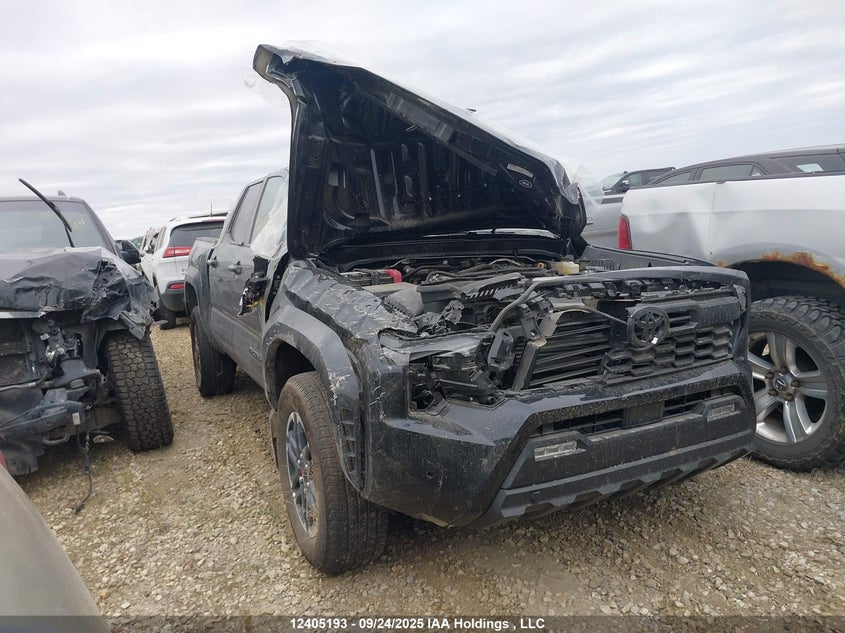 3TYLE5JN7RT052763 2024 Toyota Tacoma auction photo 1