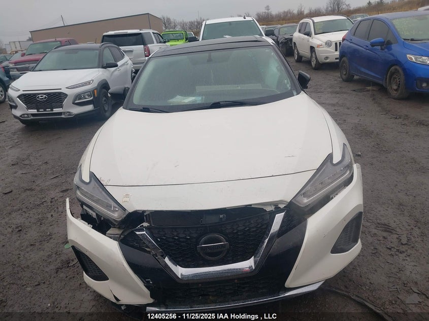 1N4AA6AV4KC371121 2019 NISSAN MAXIMA photo no. 12