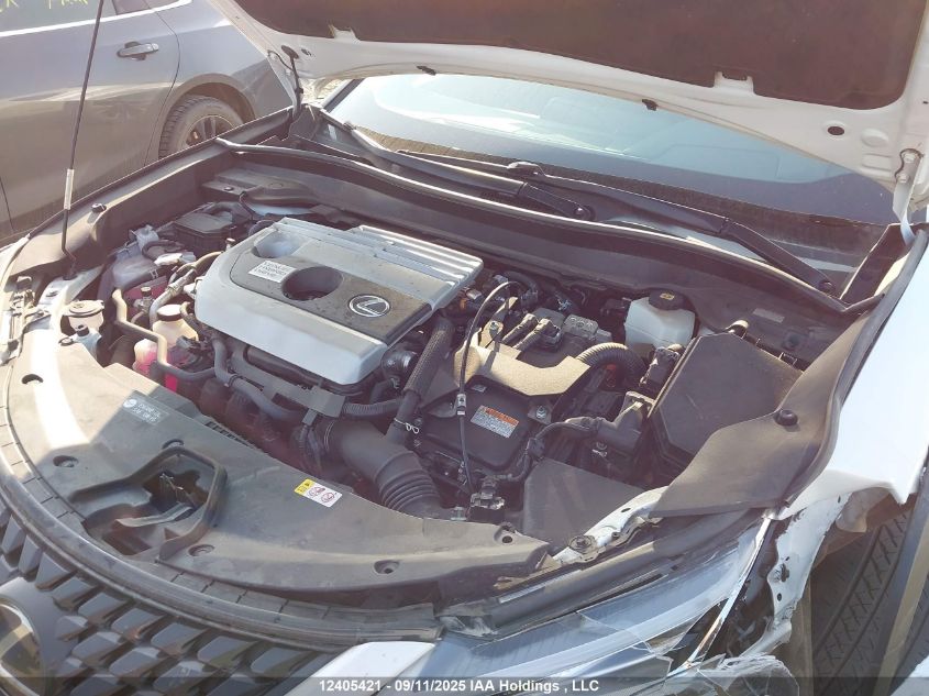 2020 Lexus Ux 250H VIN: JTHP9JBH2L2029858 Lot: 12405421