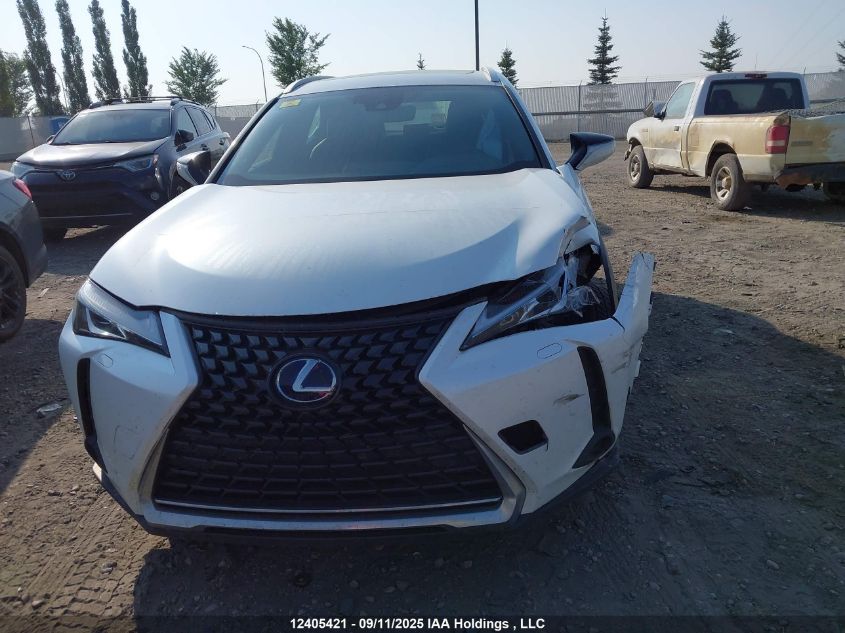 2020 Lexus Ux 250H VIN: JTHP9JBH2L2029858 Lot: 12405421