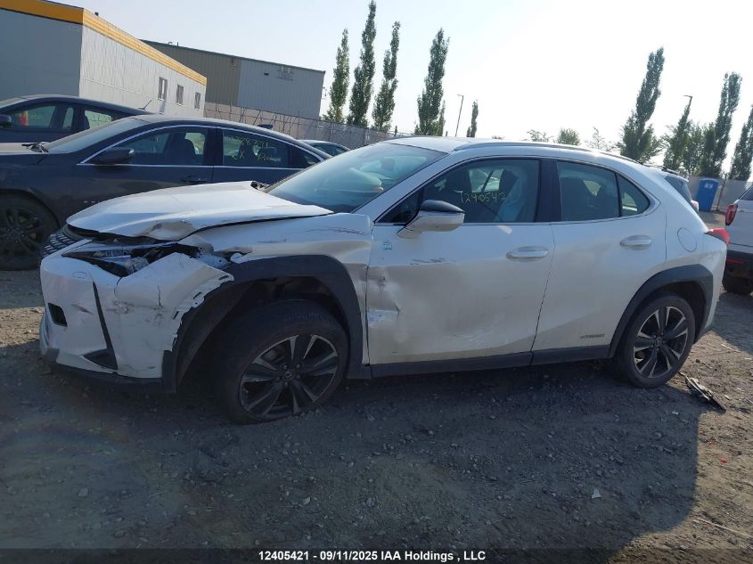 2020 Lexus Ux 250H VIN: JTHP9JBH2L2029858 Lot: 12405421