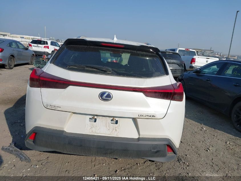 2020 Lexus Ux 250H VIN: JTHP9JBH2L2029858 Lot: 12405421